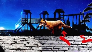 Fox Confession - Gotta Run | Ohjaus: Maria Candia