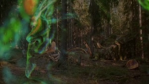 Jukka Nevalainen - Puuttuvat baryonit | Ohjaus: Lukas Pearsall