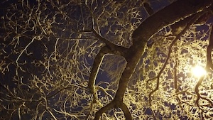 Possible Space - Where I Was Standing | Ohjaus: Robert Storm
